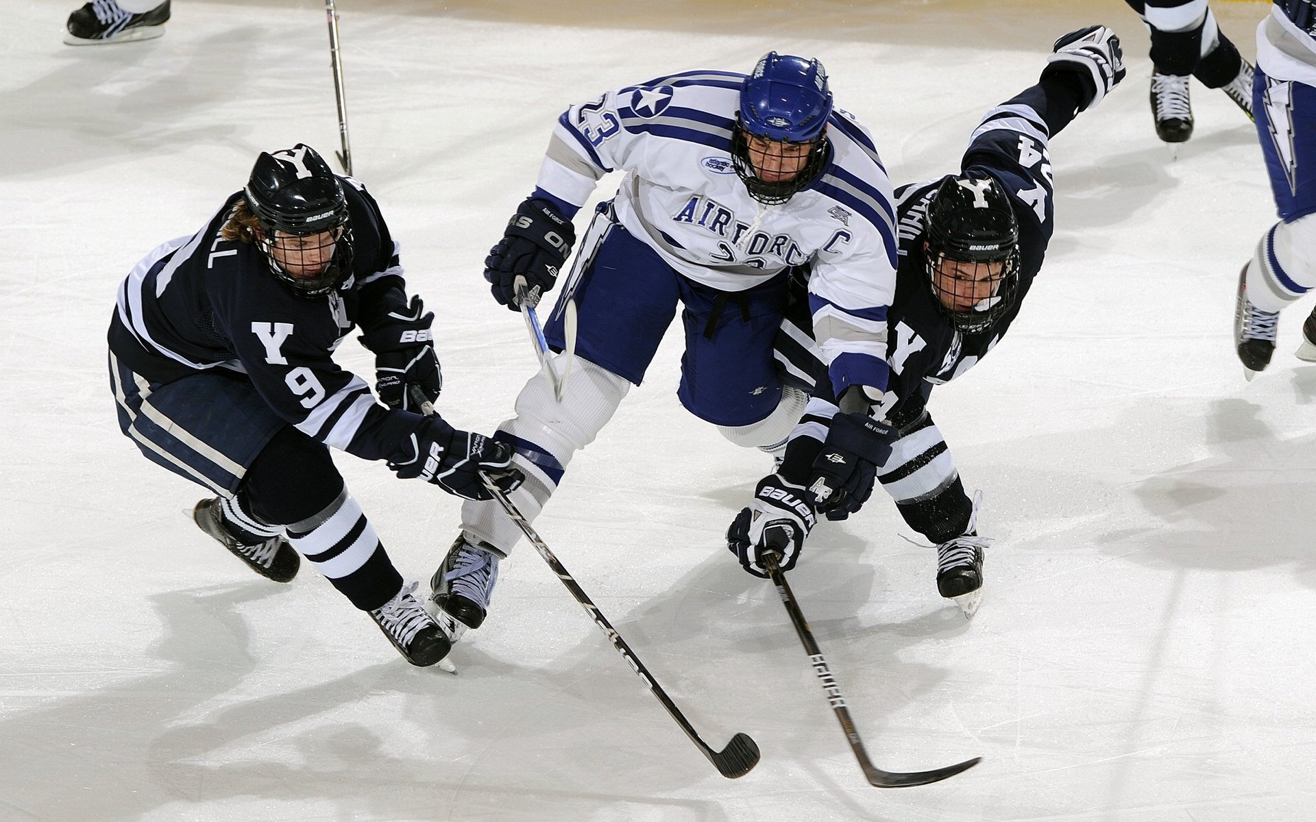 篮球专项技能训练规范化体系建设,篮球基本技能训练